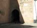 dog emerging from archway