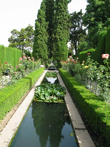 water garden in the a#C364C