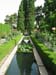 water garden in the a#C364C
